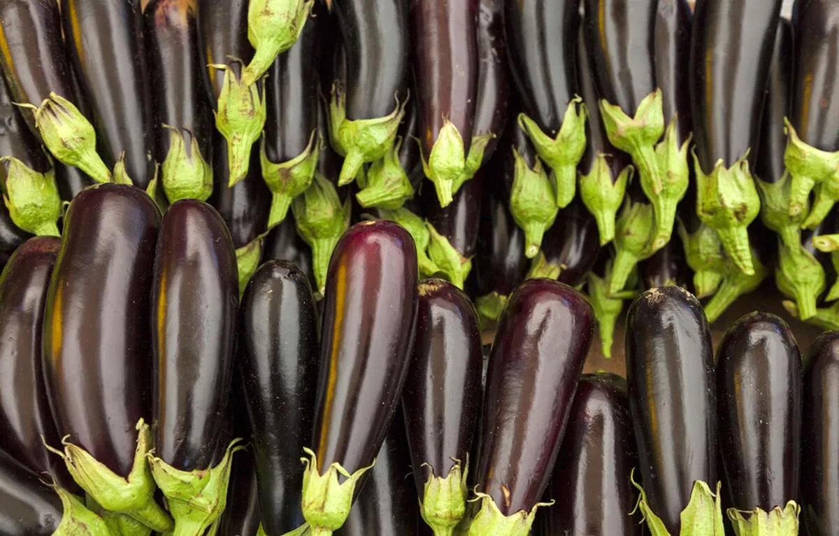 Aubergines: voordelen en gebruik