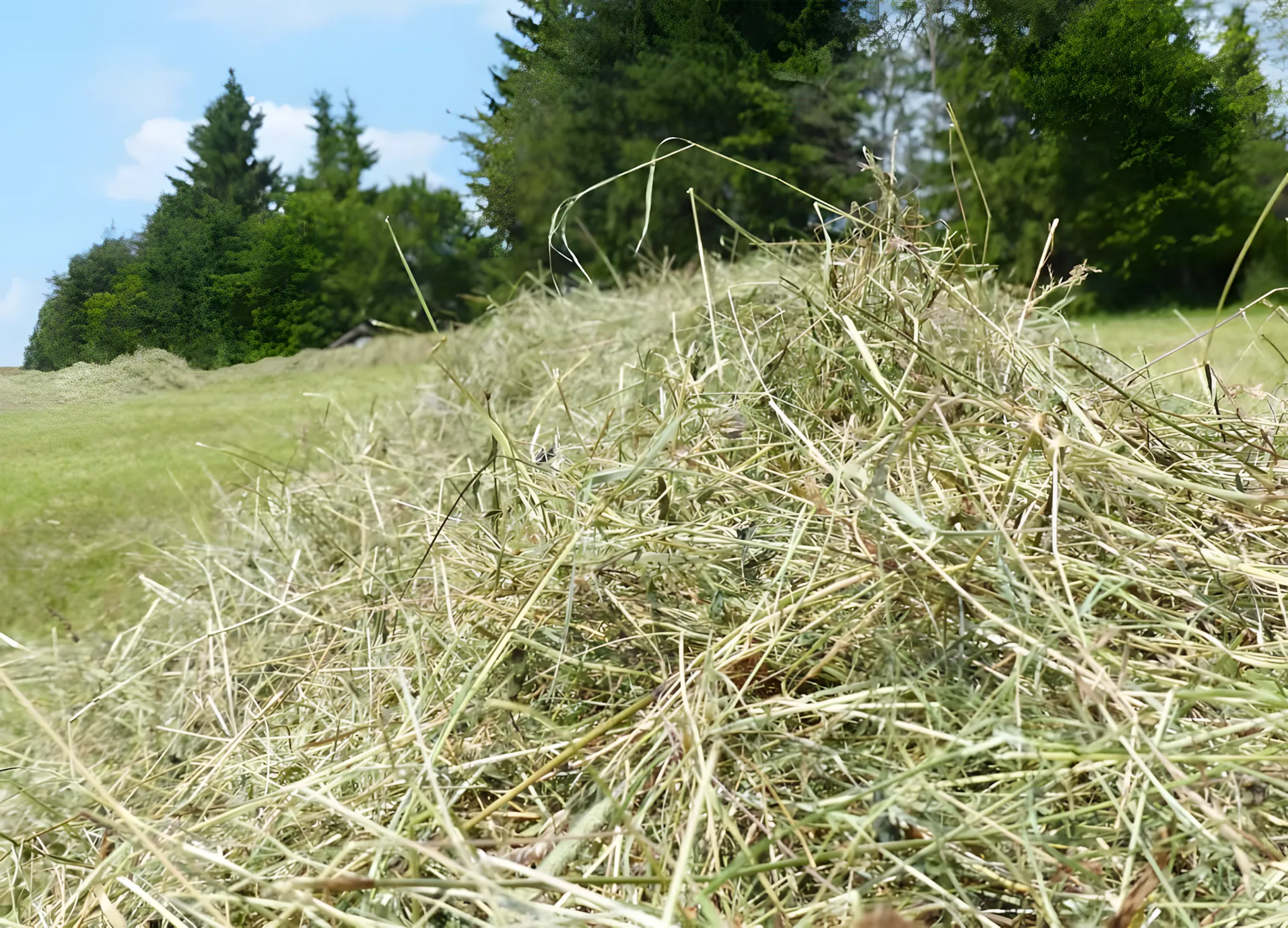 Klaar compost in slechts 20 dagen! Zal van pas komen dit seizoen!