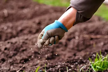 4 redders in nood voor de bloementuin