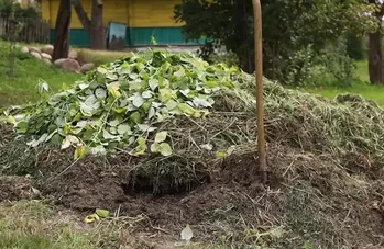 Natuurlijke meststoffen voor de hele tuin uit wat voorhanden is! Eenvoudig en toegankelijk voor iedereen